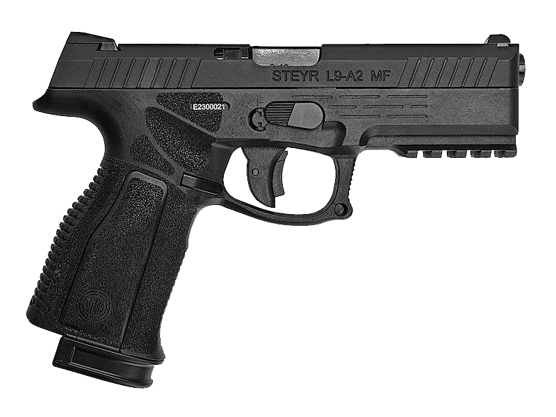 KJuSteyr Arms L9-A2v