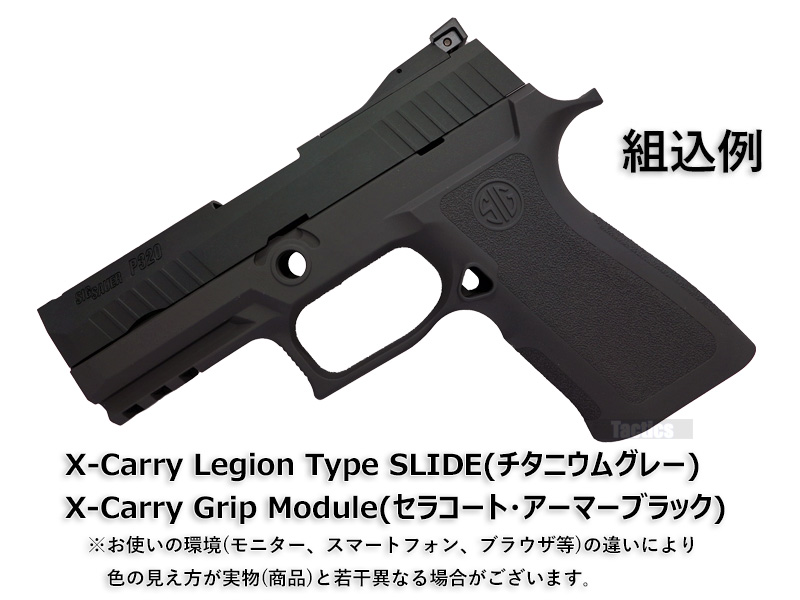 NOVAuP320 X-Carry Legion SLIDE(Titanium Gray)v